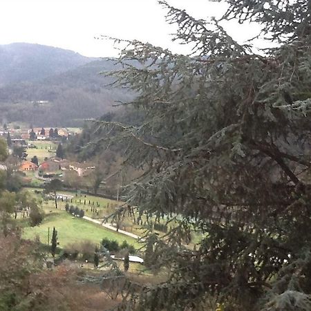Villa Torre Degli Onesti San Martino in Freddana Экстерьер фото