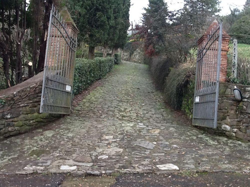 Villa Torre Degli Onesti San Martino in Freddana Экстерьер фото