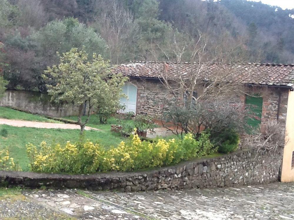 Villa Torre Degli Onesti San Martino in Freddana Экстерьер фото